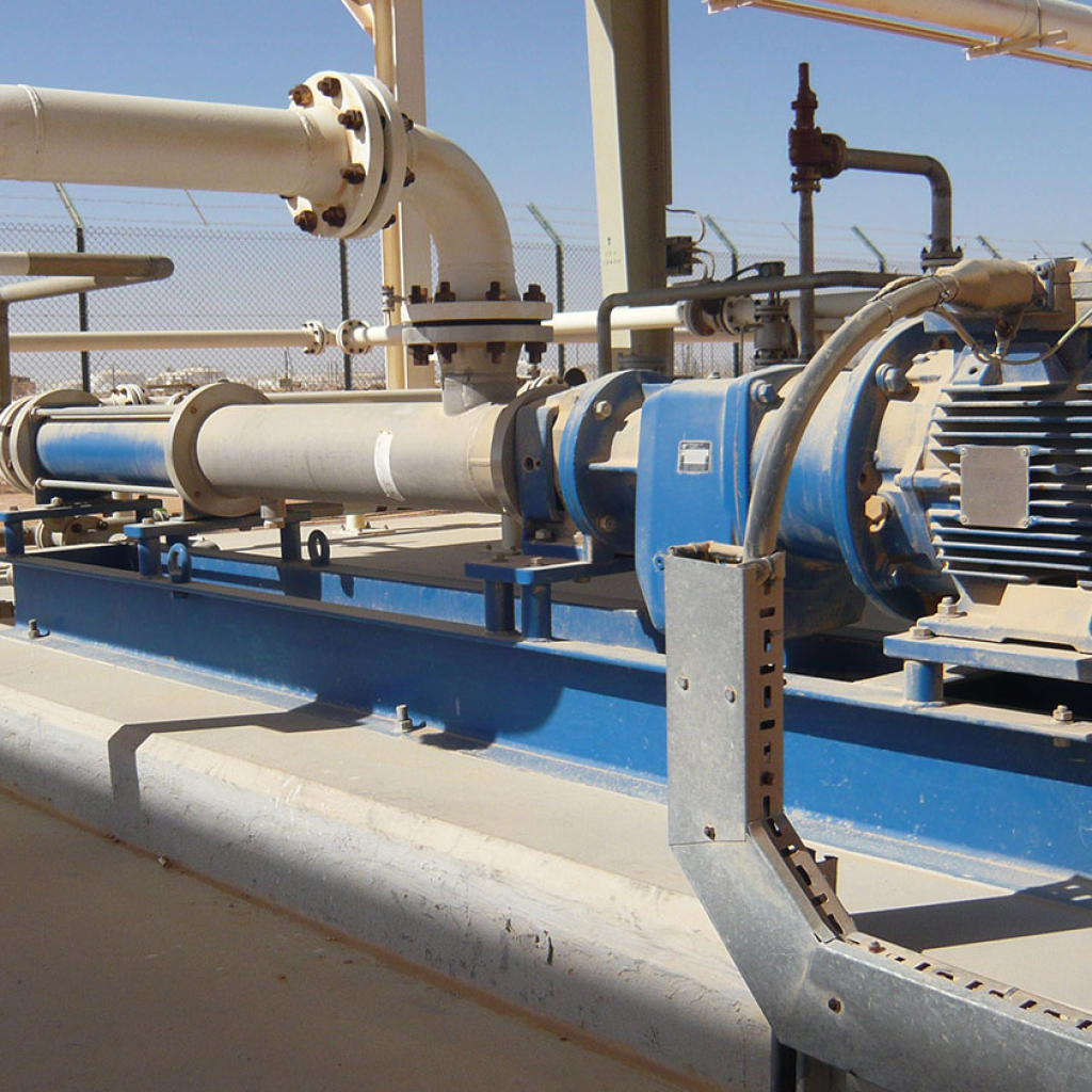 Oil and gas pump systems Singapore