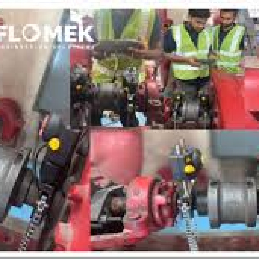 Flomek pump service Singapore