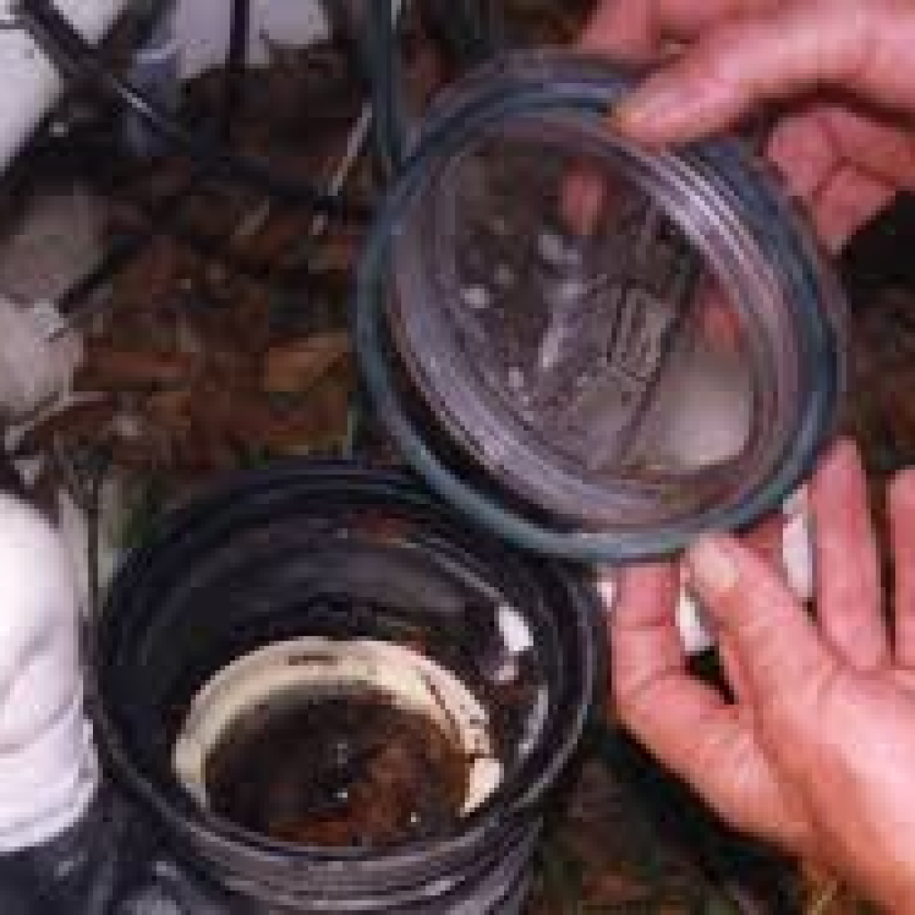 Pump seal leak repair Singapore - Singapore's No 1 Best Pump service & supplier 2 image 1